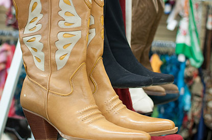 Tan cowboy boots.